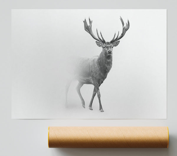 Stag In The Mist Poster