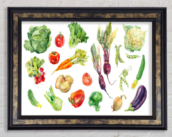 Selection Of Watercolour Vegetables Framed Print