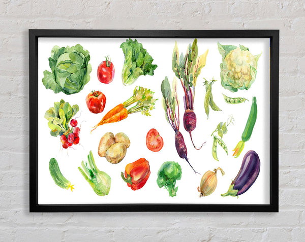 Selection Of Watercolour Vegetables