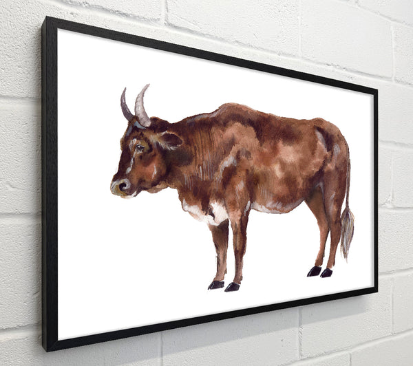Big Brown Cow