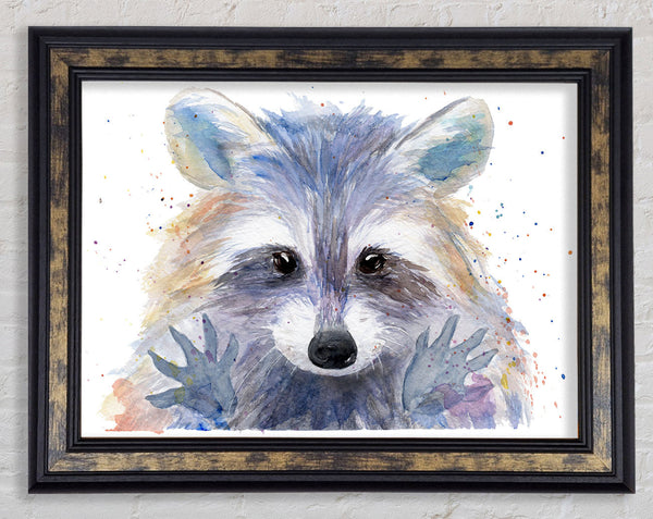 Watercolour Raccoon Framed Print