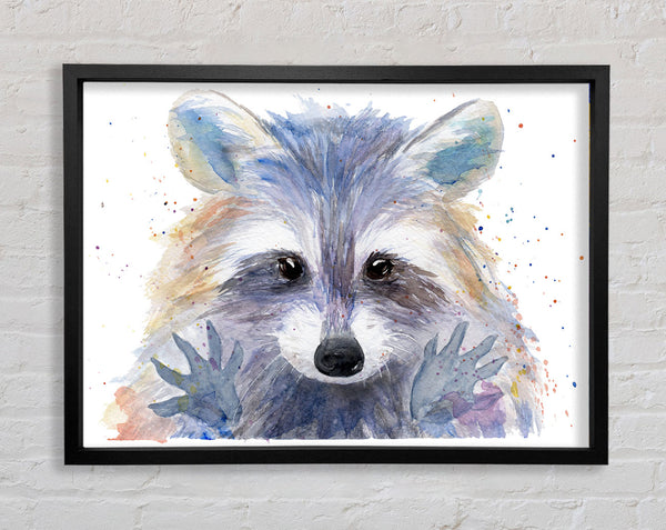 Watercolour Raccoon