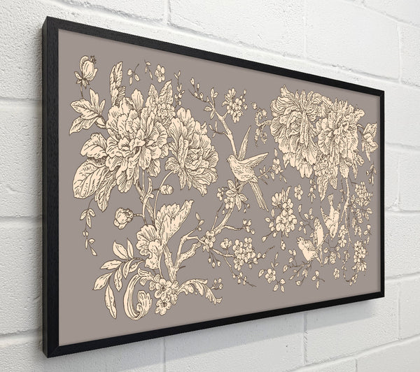 Old Nature Illustrations