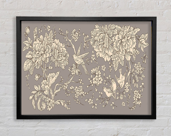 Old Nature Illustrations Framed Print