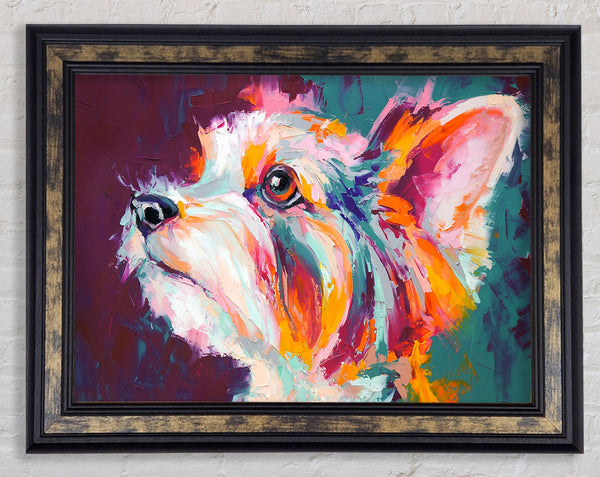 Vibrant Yorkshire Terrier Framed Print