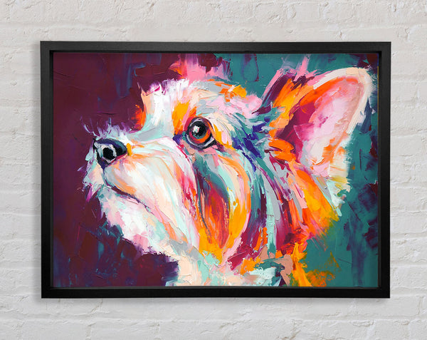 Vibrant Yorkshire Terrier