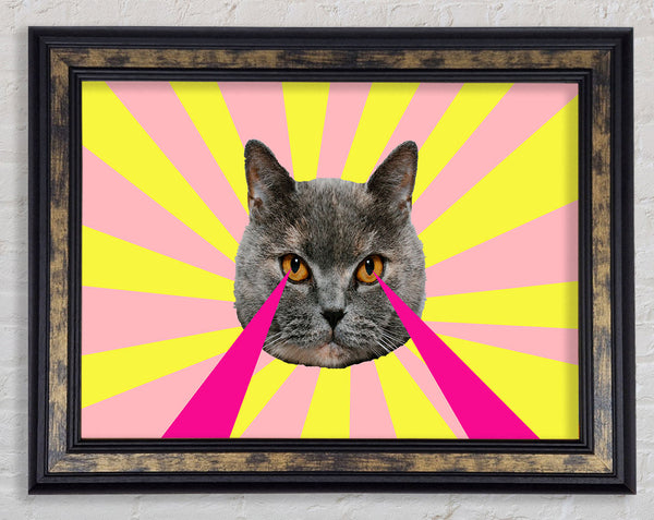 Cat Lazer Eyes