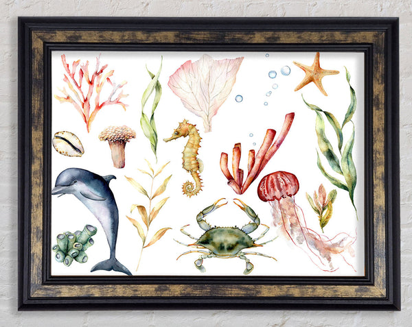 Water Colour Sea Creatures Framed Print