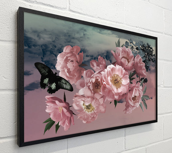 Cloudy Butterfly Flowers
