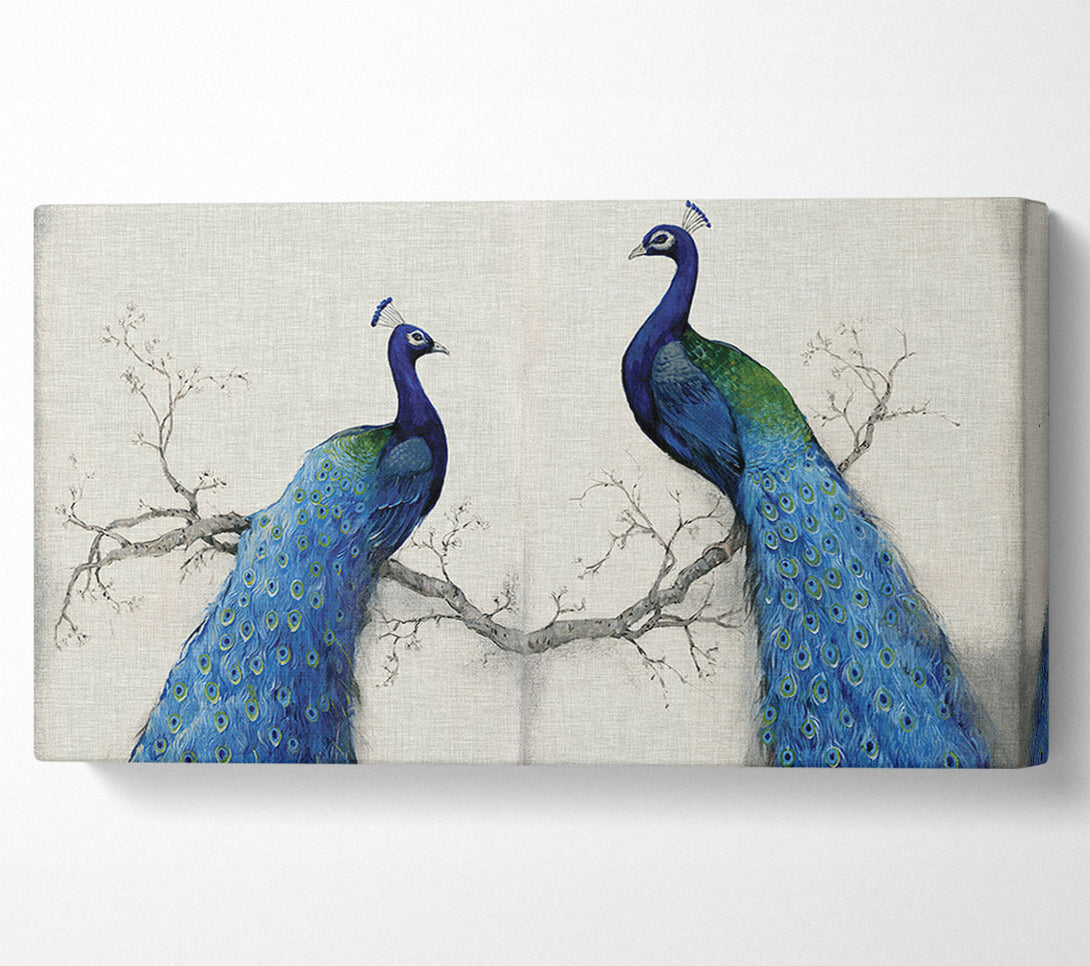  A Canvas Print of The Peacock Duo Canvas Wall Art