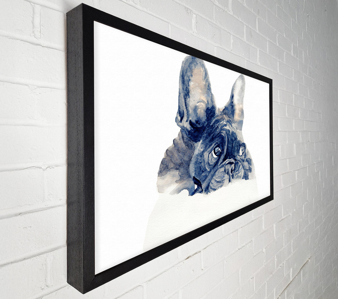  A Canvas Print of Cute French Bulldog Canvas Art