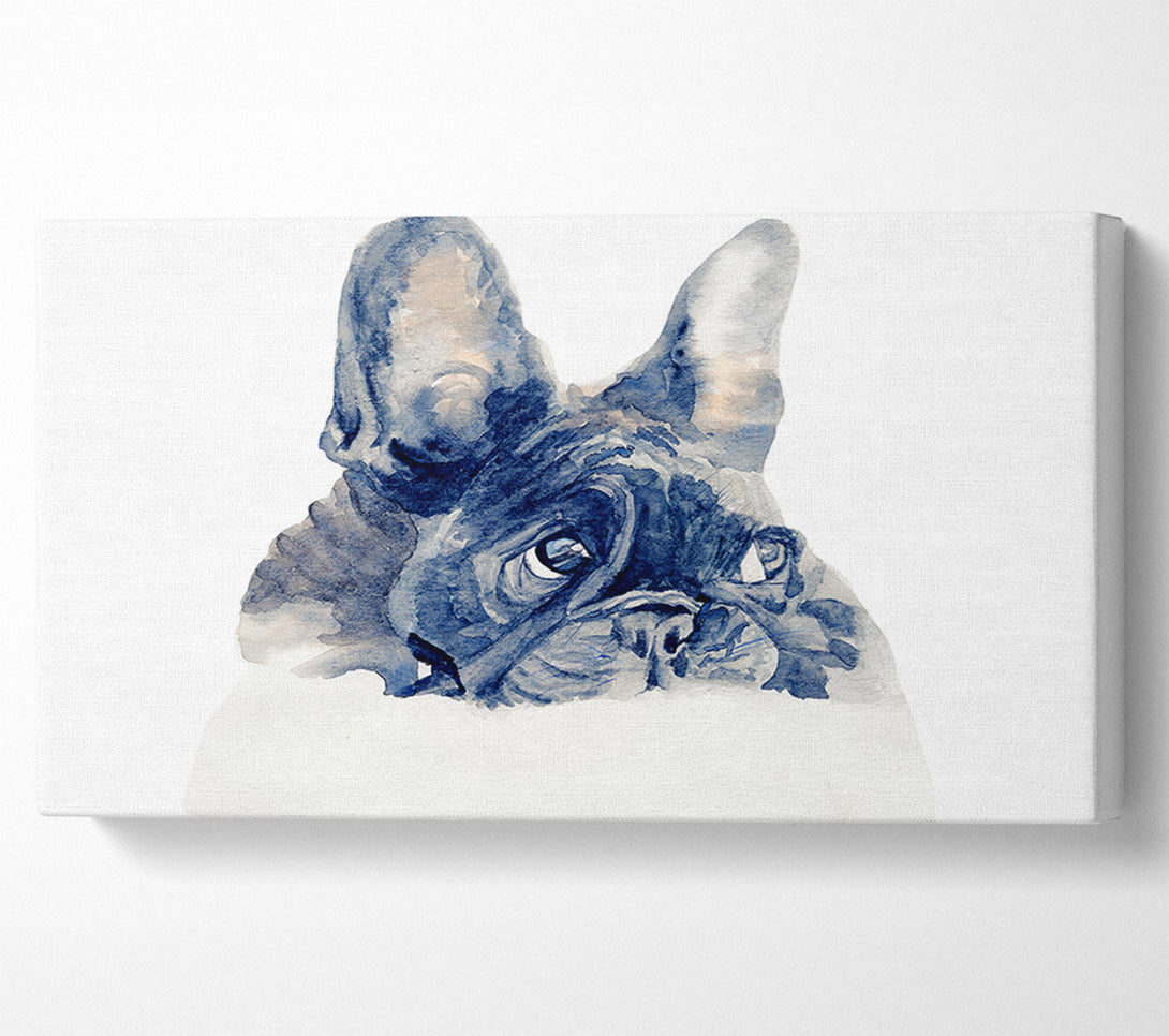  A Canvas Print of Cute French Bulldog Canvas Art