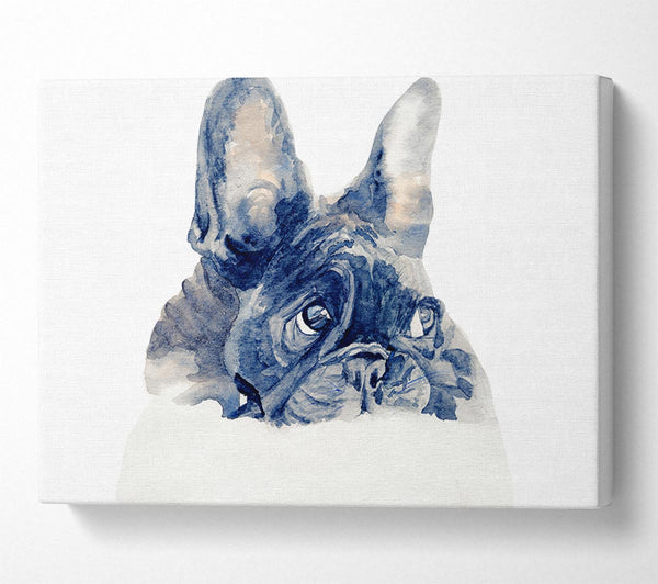  A Canvas Print of Cute French Bulldog Canvas Art