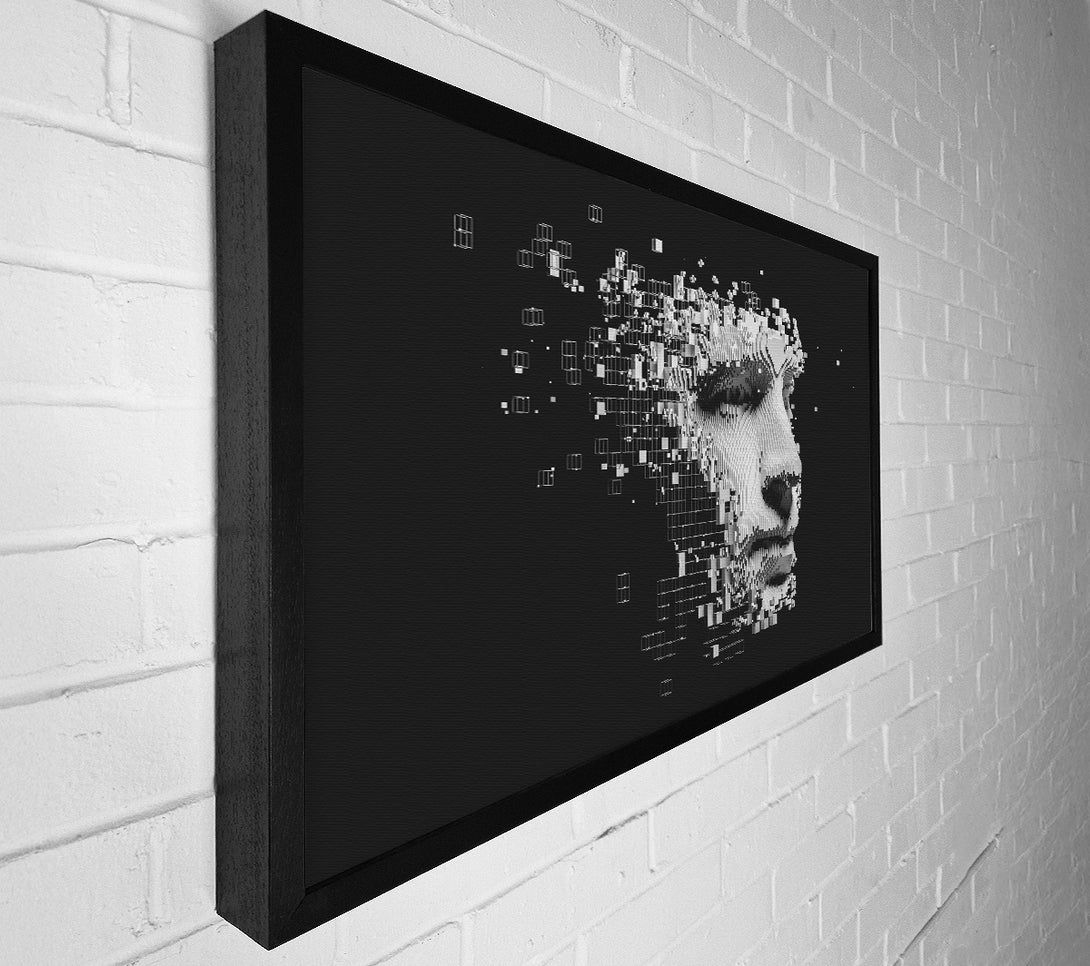  A Canvas Print of Break Away Face Canvas Art