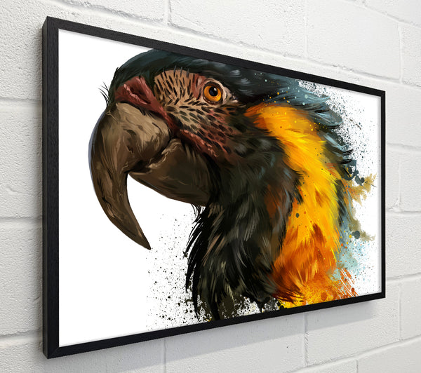 Rainbow Splatter Parrot