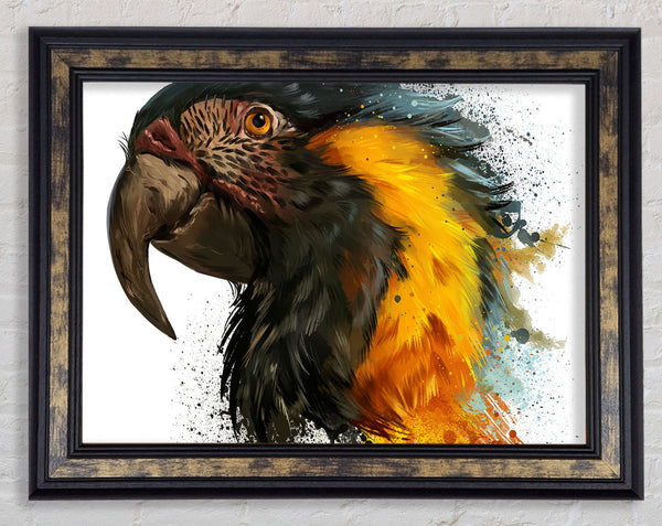 Rainbow Splatter Parrot Framed Print