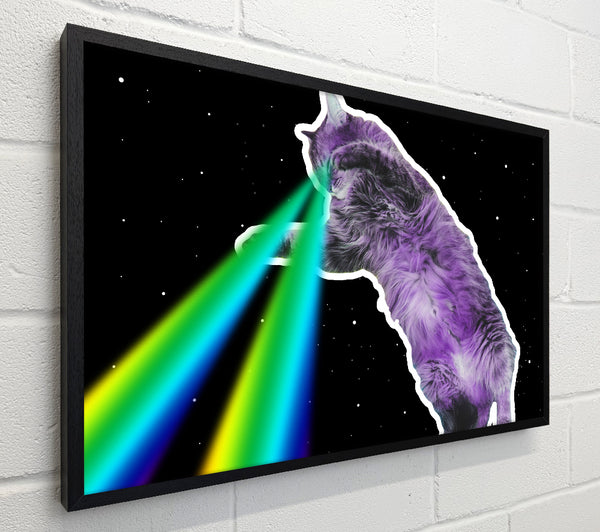 Cat Lazer Beam Space
