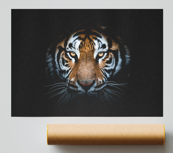 Tiger In The Dark Print