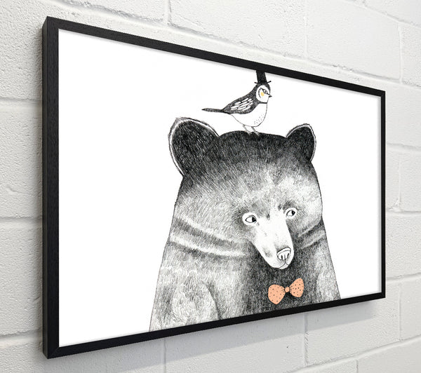 Bird And Bear