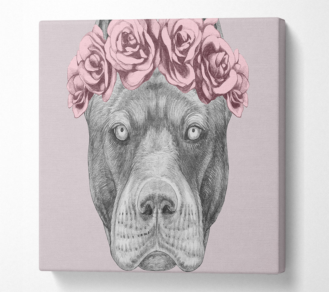  A Canvas Print of Flower Head Pitbull Canvas Wall Art