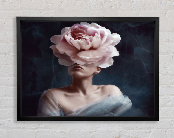 Der rosa Blütenkopf