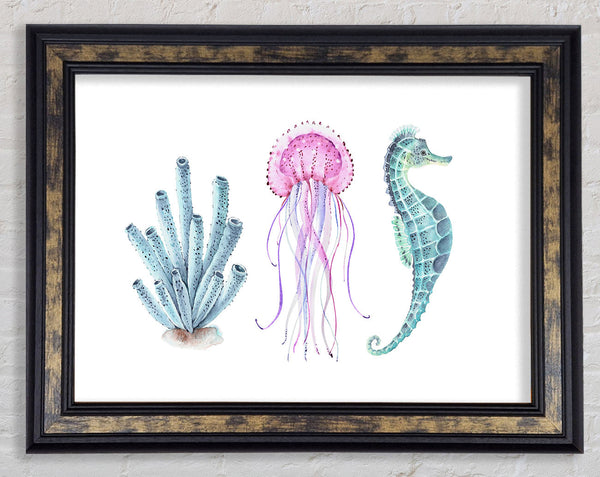 Seahorse Watercolour Framed Print