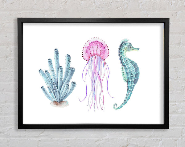 Seepferdchen Aquarell
