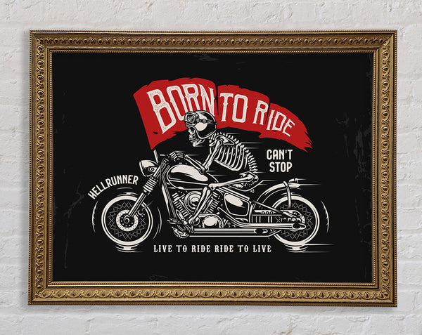 Born To Ride Framed Print