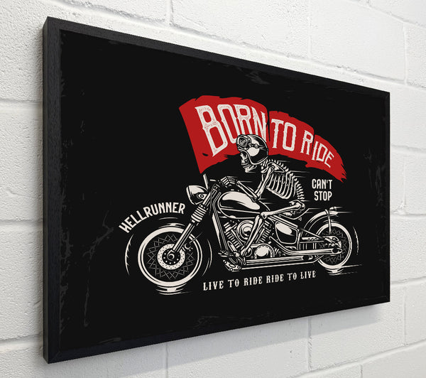Born To Ride