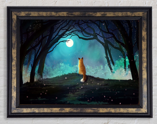Fox Staring At The Moon Framed Print