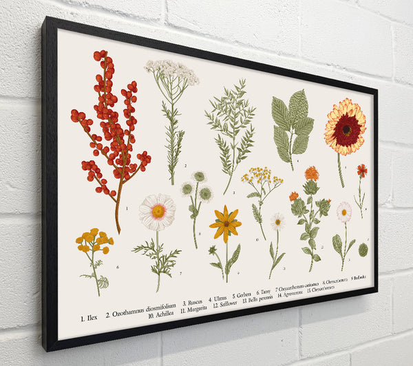 Flower Illustration Handrawn