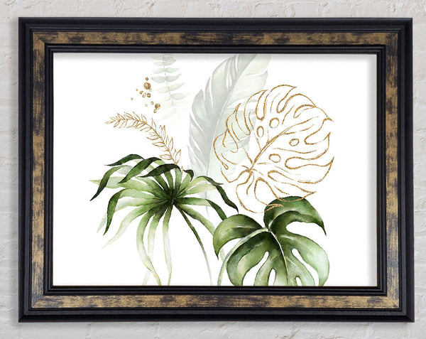 Beautiful Cheese Plant Framed Print