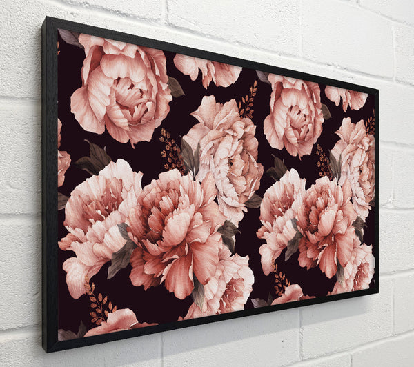 Pink Carnation Beauty