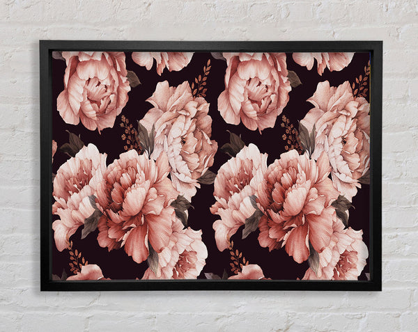 Rosa Nelkenschönheit