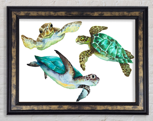 Seaturtle Love Framed Print