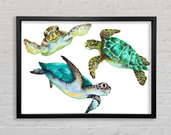Seaturtle Love Framed Print