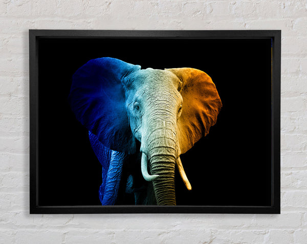 Dreifarbiger Elefant