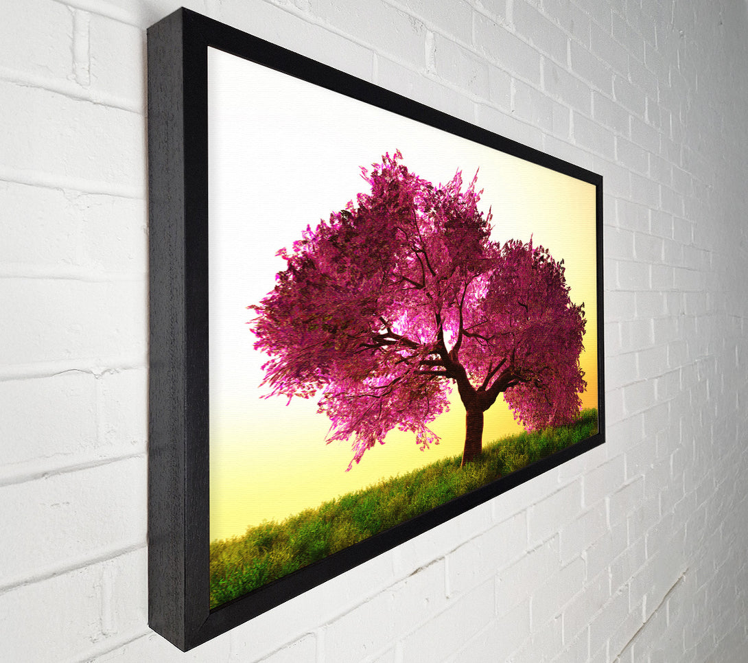  A Canvas Print of The Pink Tree Blossom Hilltop Canvas Wall Art