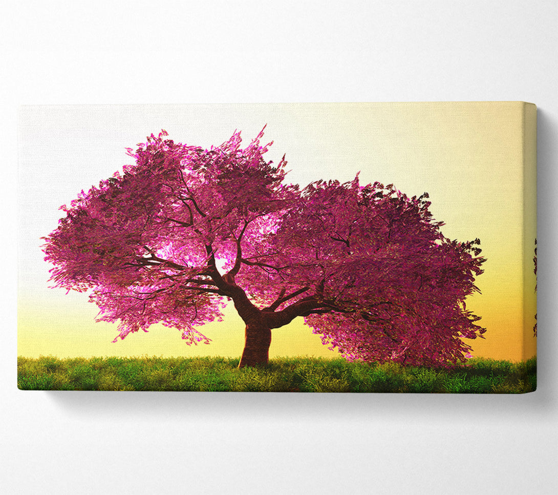  A Canvas Print of The Pink Tree Blossom Hilltop Canvas Wall Art