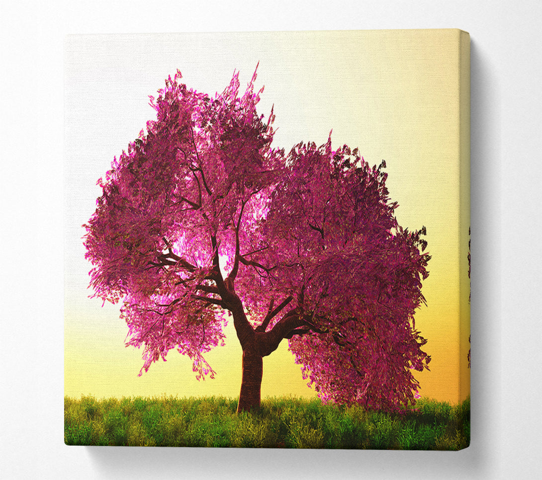  A Canvas Print of The Pink Tree Blossom Hilltop Canvas Wall Art