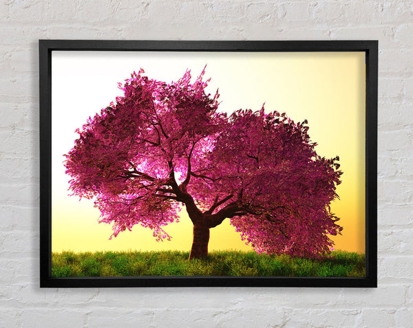 The Pink Tree Blossom Hilltop Framed Print