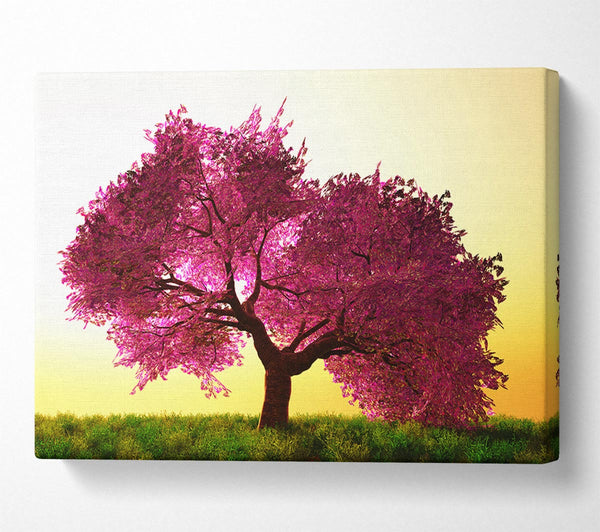  A Canvas Print of The Pink Tree Blossom Hilltop Canvas Wall Art