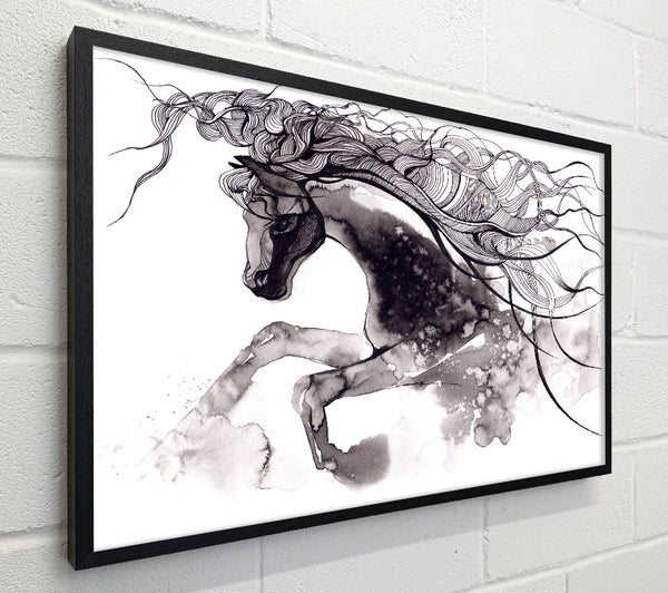 Long Haired Horse