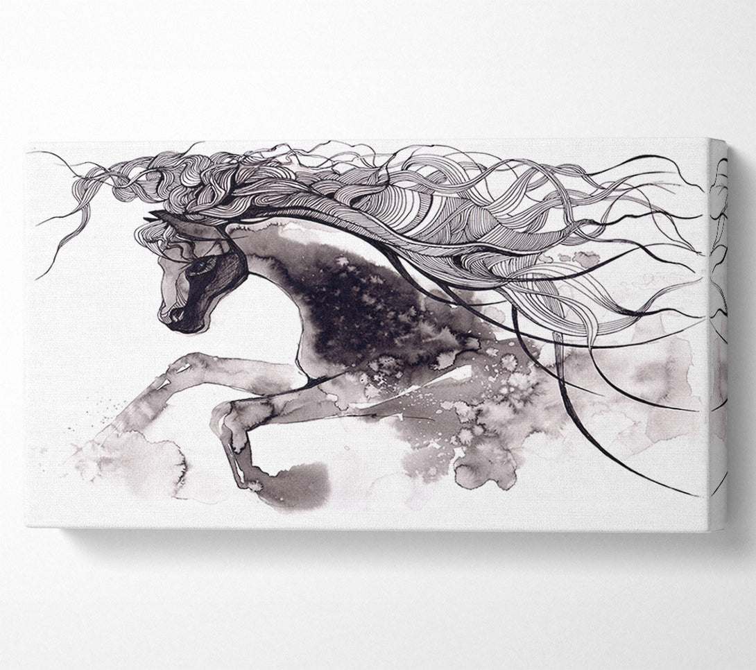  A Canvas Print of Long Haired Horse Canvas Art
