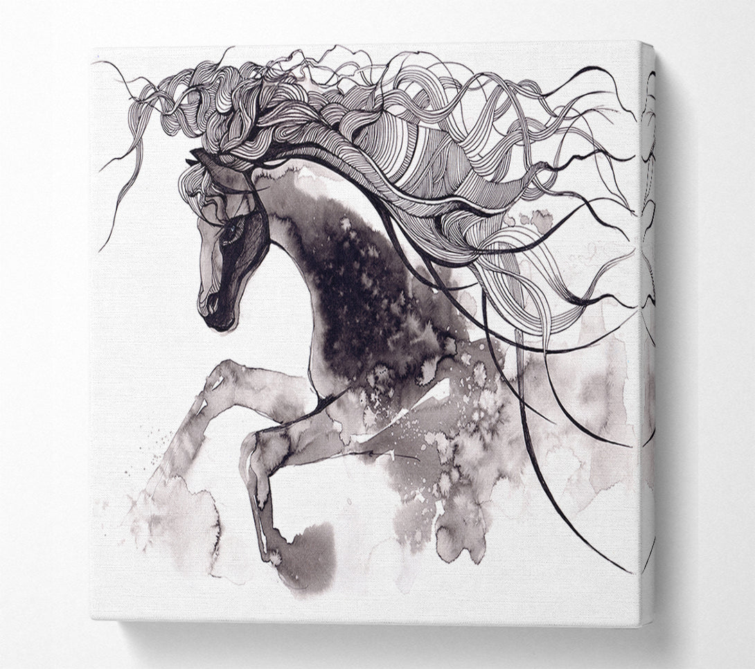  A Canvas Print of Long Haired Horse Canvas Art