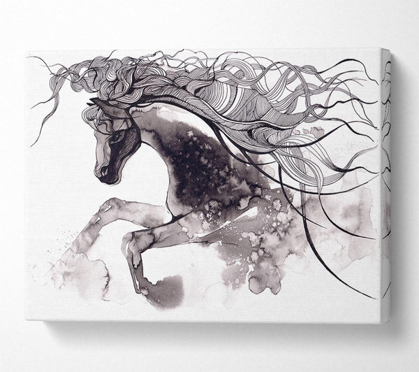  A Canvas Print of Long Haired Horse Canvas Art