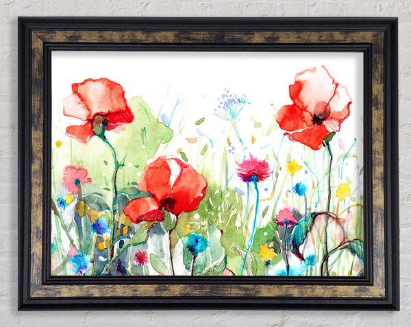 Poppies And Mixed Flowers Framed Print