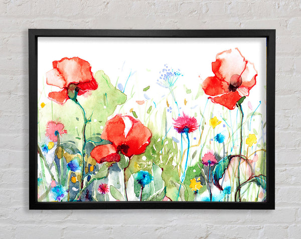 Mohnblumen und gemischte Blumen