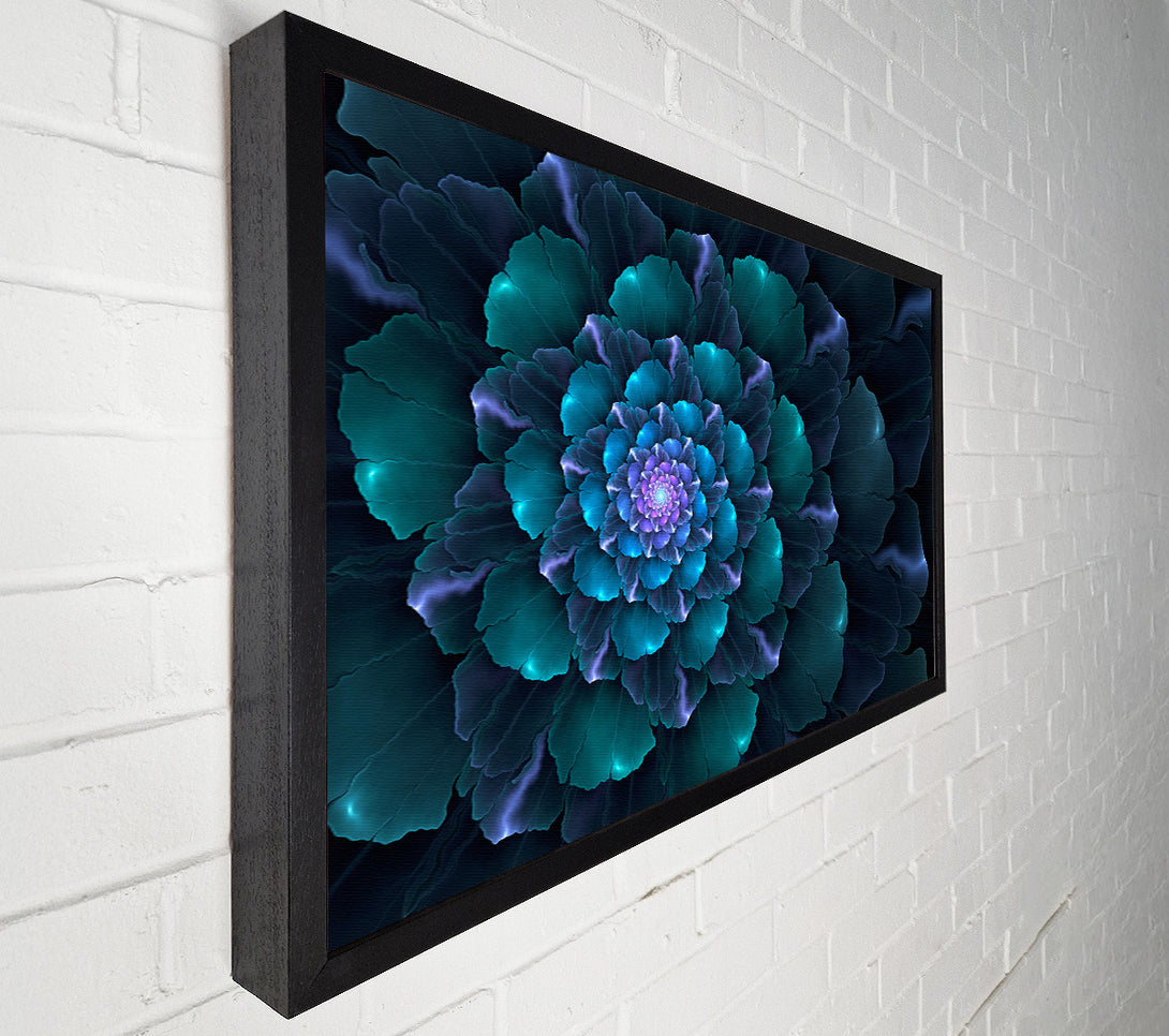  A Canvas Print of Spiral Into The Succulent Cactus Canvas Print