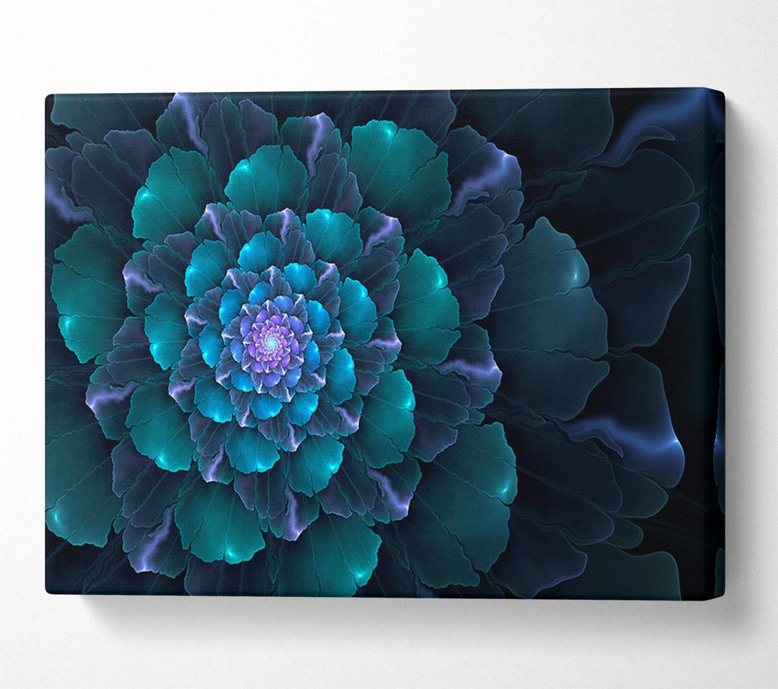  A Canvas Print of Spiral Into The Succulent Cactus Canvas Print